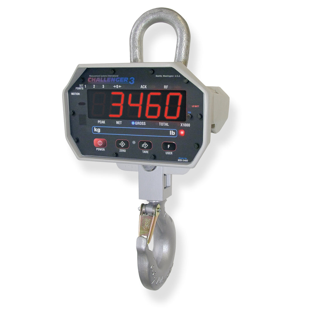 Rice Lake MSI Challenger 3 Crane Scale